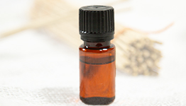 Фото с семинара